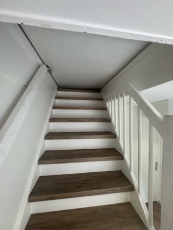 IMG_5608 Medium.jpeg